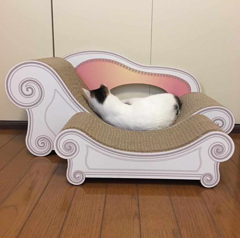 単発ブログ93画像