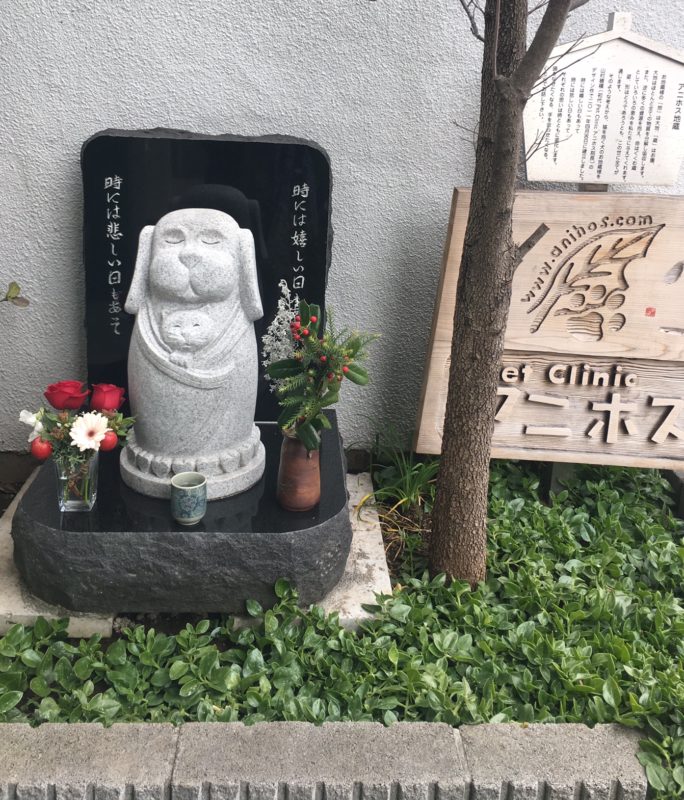 単発ブログ102画像