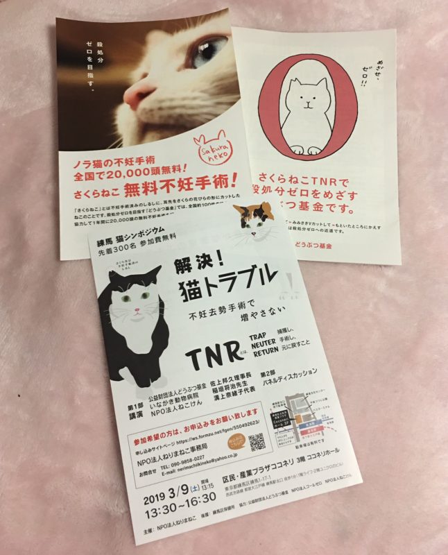単発ブログ163画像