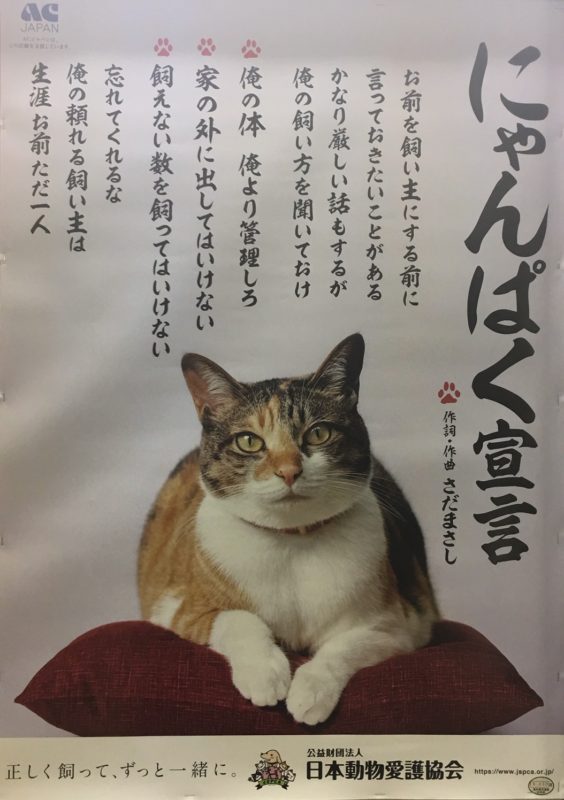 単発ブログ335画像