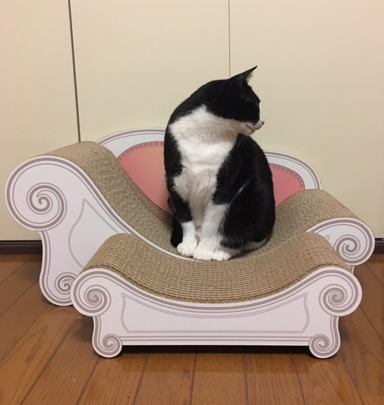単発ブログ90画像