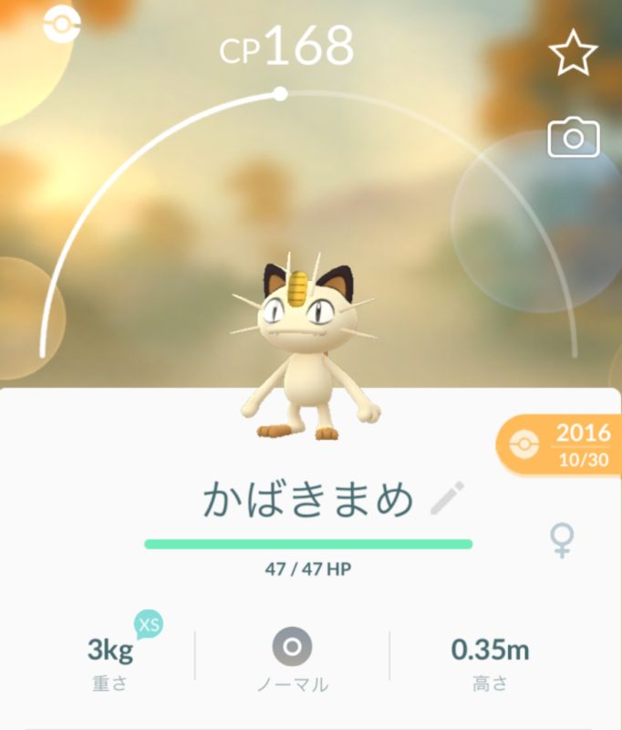 単発ブログ289画像
