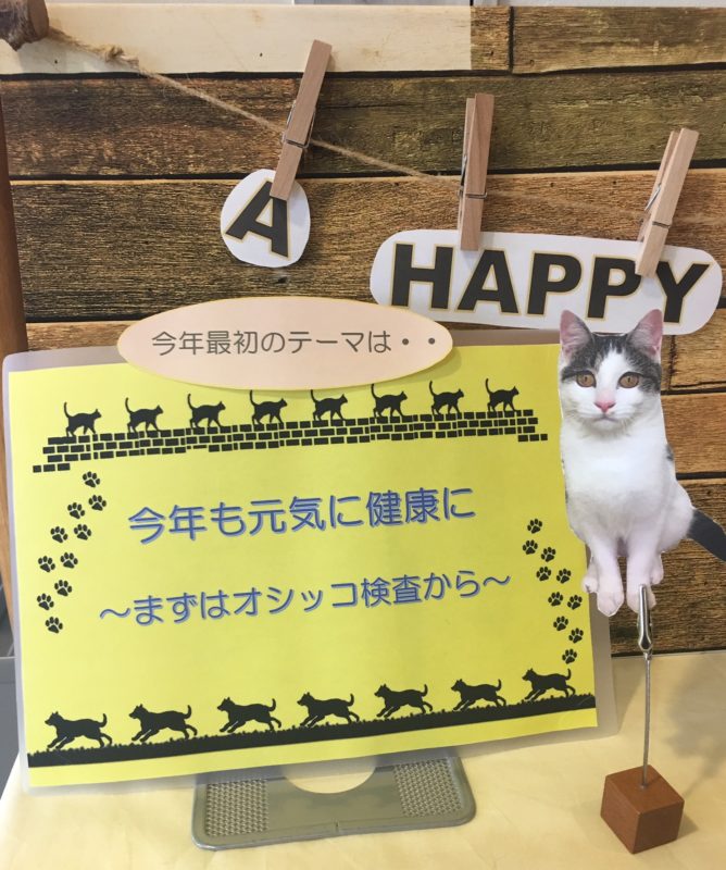 単発ブログ103画像