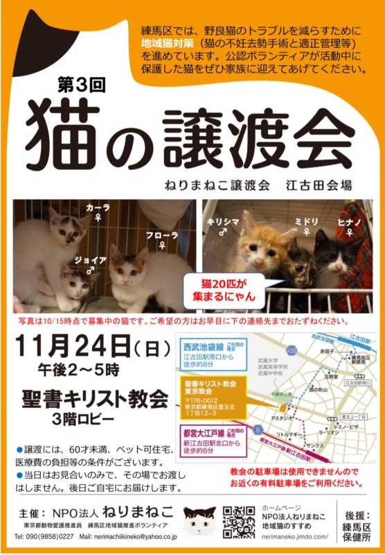 単発ブログ416画像
