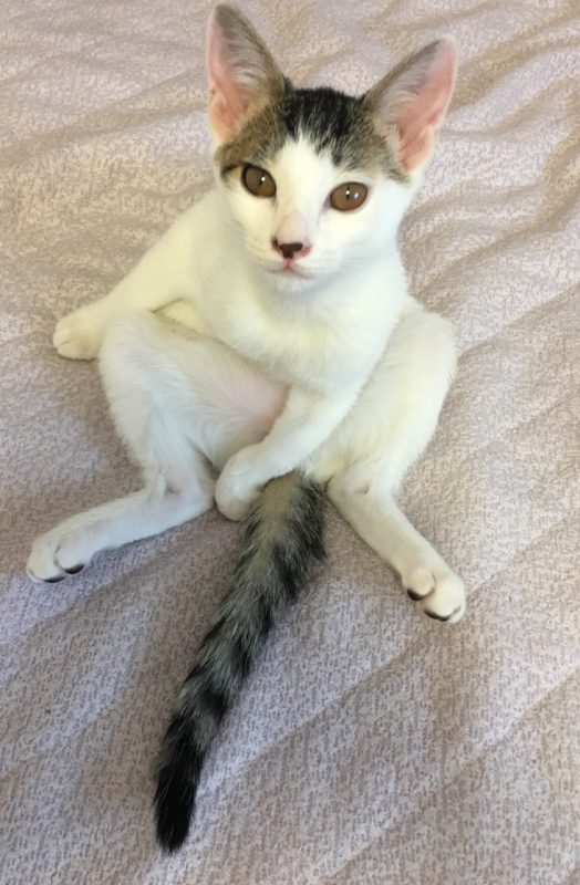 単発ブログ③画像