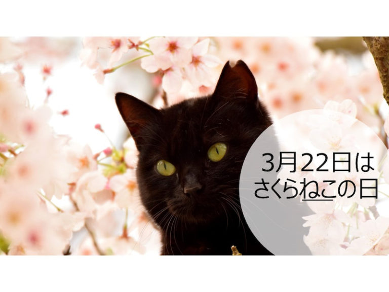 単発ブログ176画像