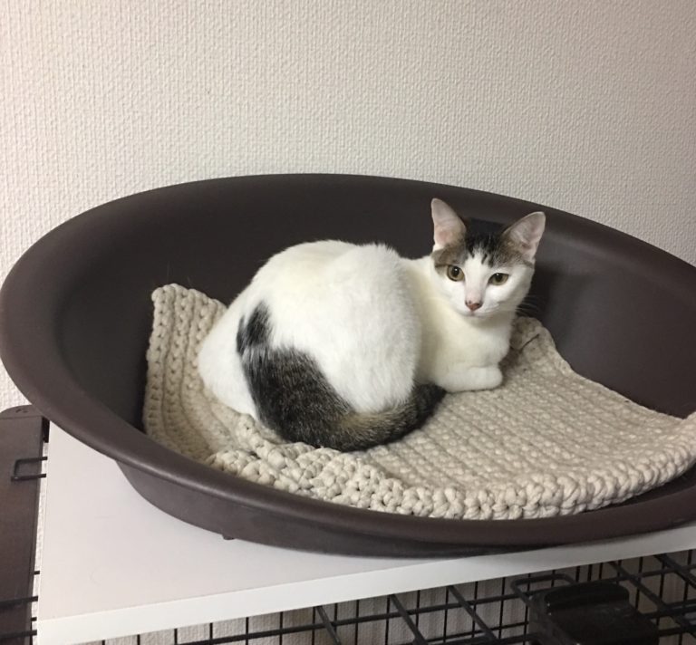 単発ブログ424画像