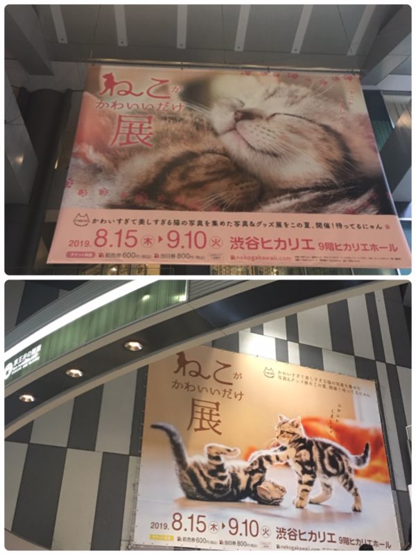 単発グログ344画像