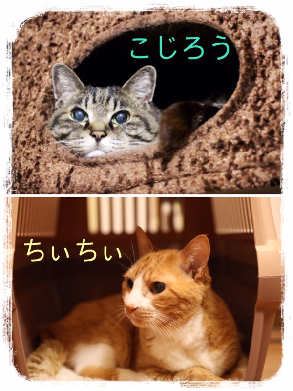単発ブログ319画像