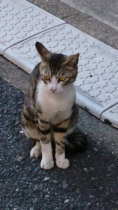 単発ブログ11画像