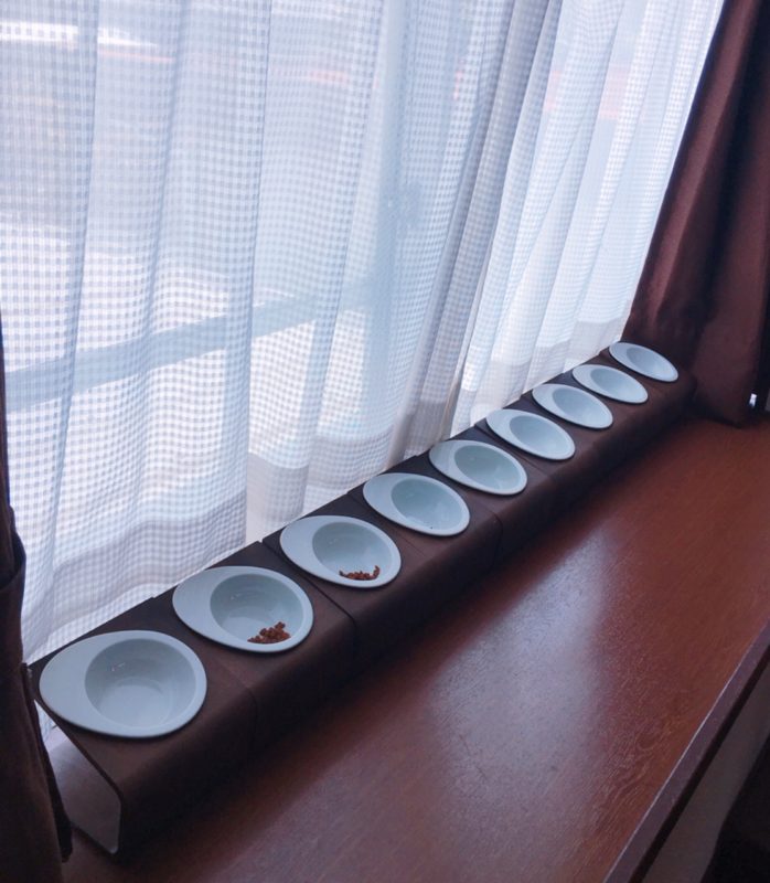 単発ブログ316画像
