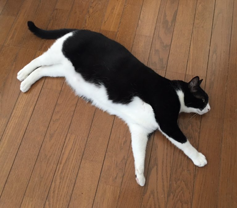 単発ブログ42画像