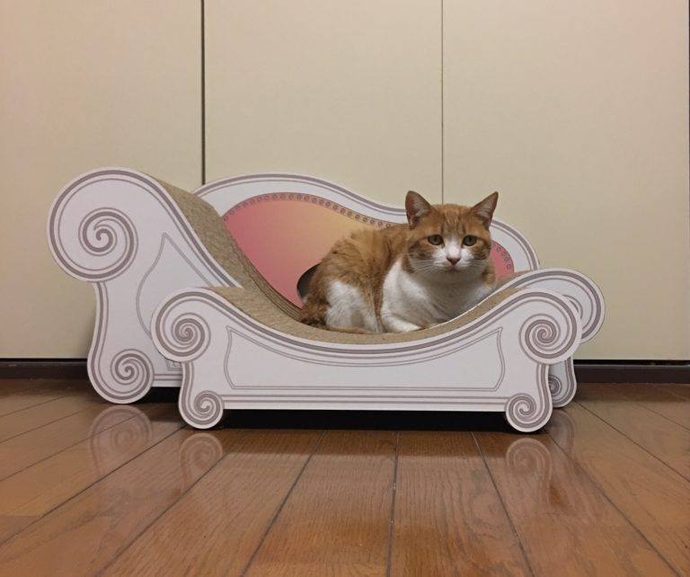 単発ブログ91画像
