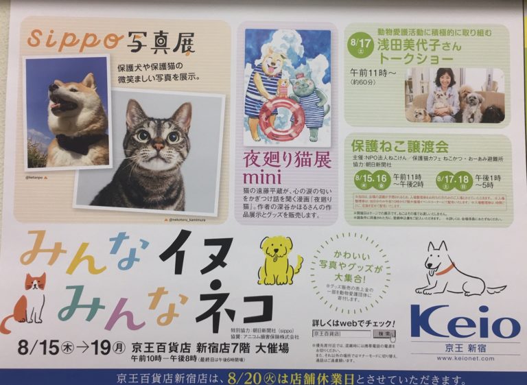 単発ブログ326画像