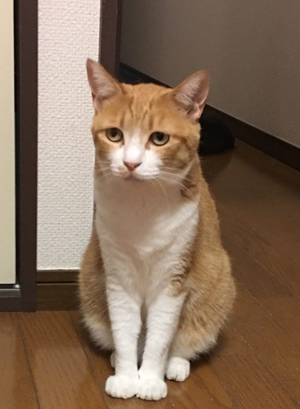 単発ブログ10画像再差替