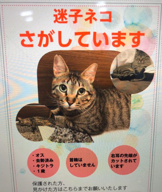 単発ブログ439画像