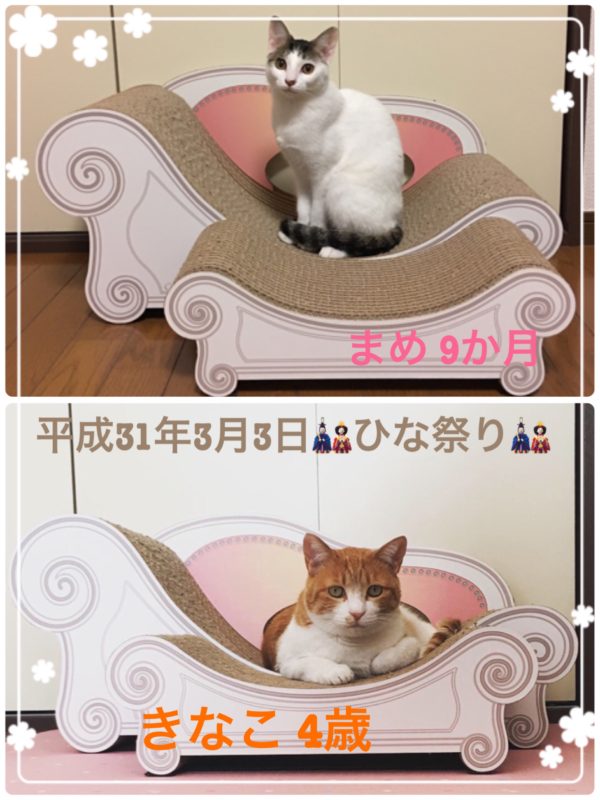 単発ブログ157画像
