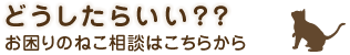 お困りのねこ相談はこちらから