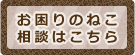 お困りの猫相談はこちらから